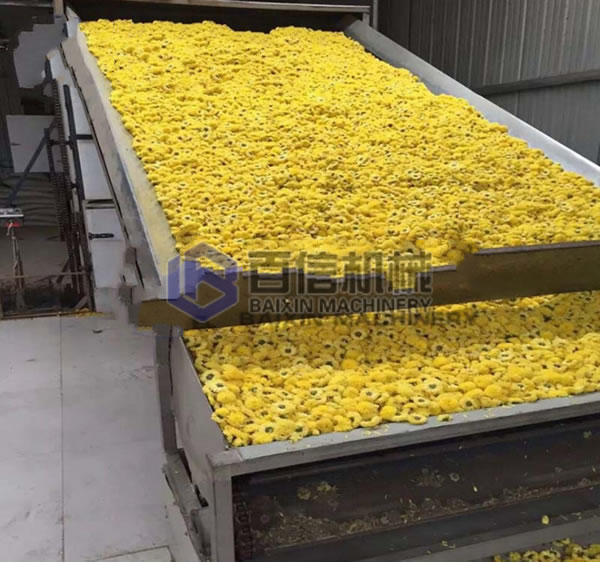 菊花烘干機設備案例